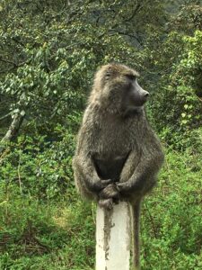 Rwanda