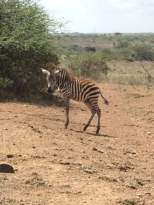 Kenya