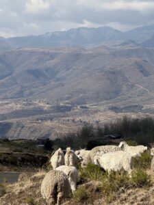 Lesotho